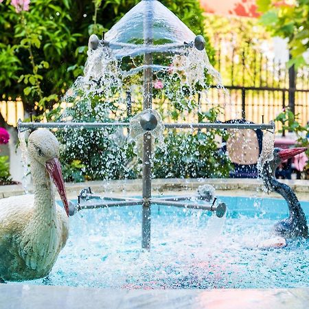 קנאלי Elena Apartments מראה חיצוני תמונה